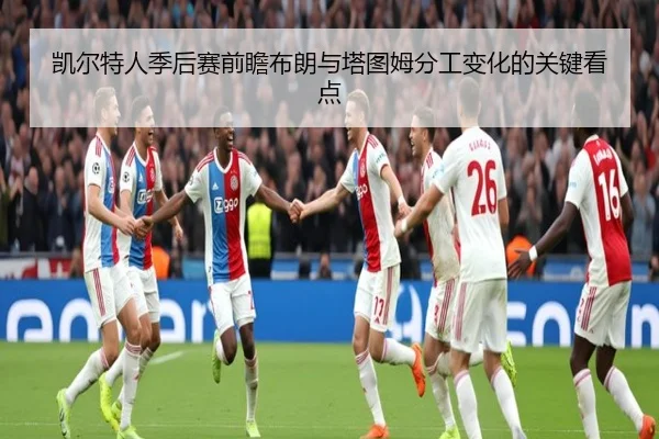 凯尔特人季后赛前瞻布朗与塔图姆分工变化的关键看点