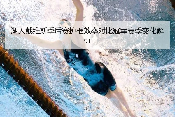 湖人戴维斯季后赛护框效率对比冠军赛季变化解析