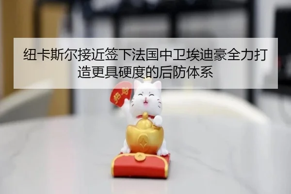 纽卡斯尔接近签下法国中卫埃迪豪全力打造更具硬度的后防体系
